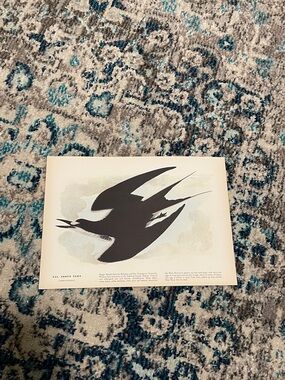 Vintage Bird Art Print — Black Silhouette with Soft Pastel Background